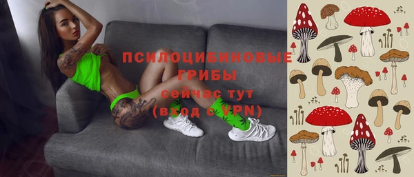 Альфа ПВП Дмитровск