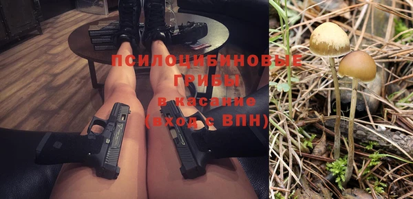 меф Дмитров