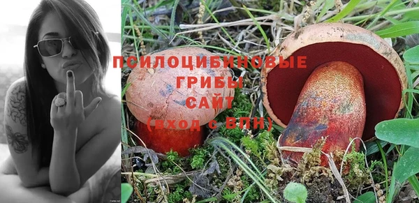 меф Дмитров