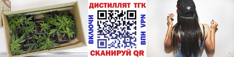 ТГК жижа  Купить закладки  Усть-Джегута 