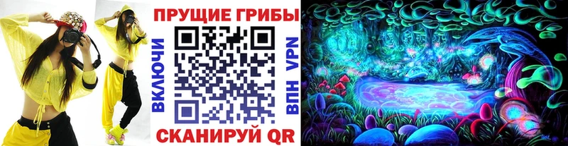 Галлюциногенные грибы Psilocybe  Купить закладки  Усть-Джегута 