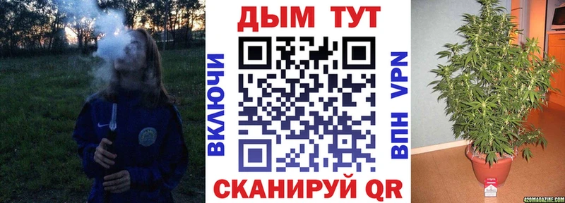 Купить закладки  Усть-Джегута  МАРИХУАНА сатива 